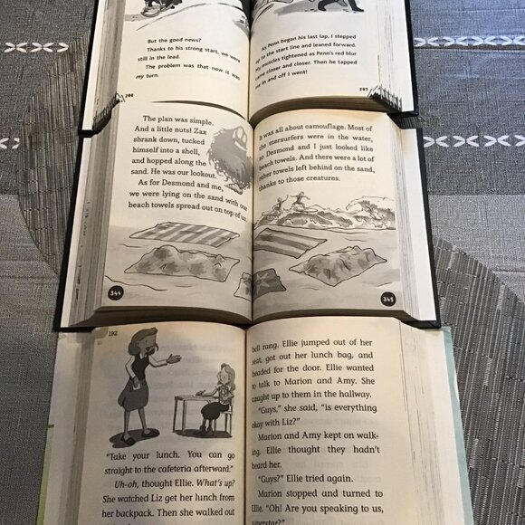 Three 4-in-1 Early Reading Books--Homeschool Reading - Picture 3 of 3